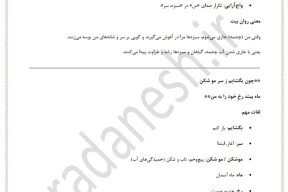 جزوه درس یک چشمه فارسی 1 پایه دهم عمومی